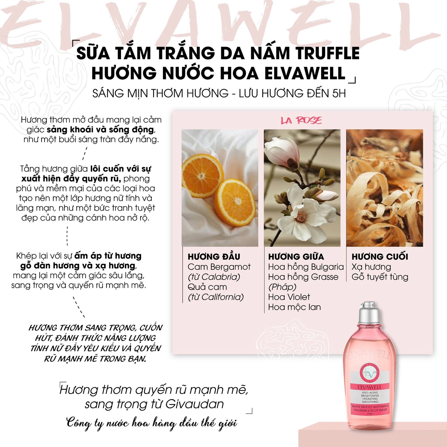 ELVAWELL WHITE TRUFFLE AMINO ACID FRAGRANCE BODY WASH IN LA ROSE 250ML