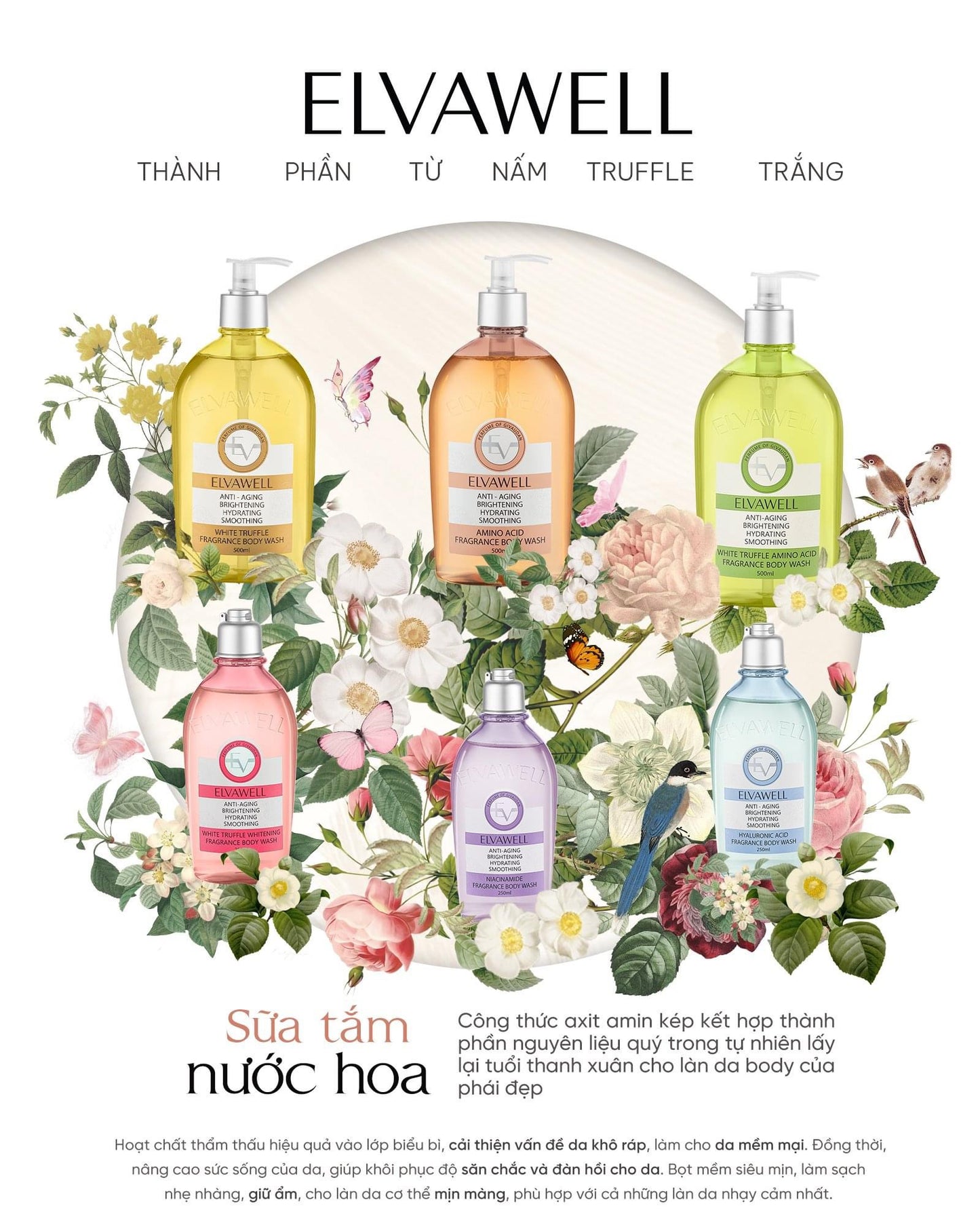 ELVAWELL WHITE TRUFFLE AMINO ACID FRAGRANCE BODY WASH IN LA ROSE 250ML