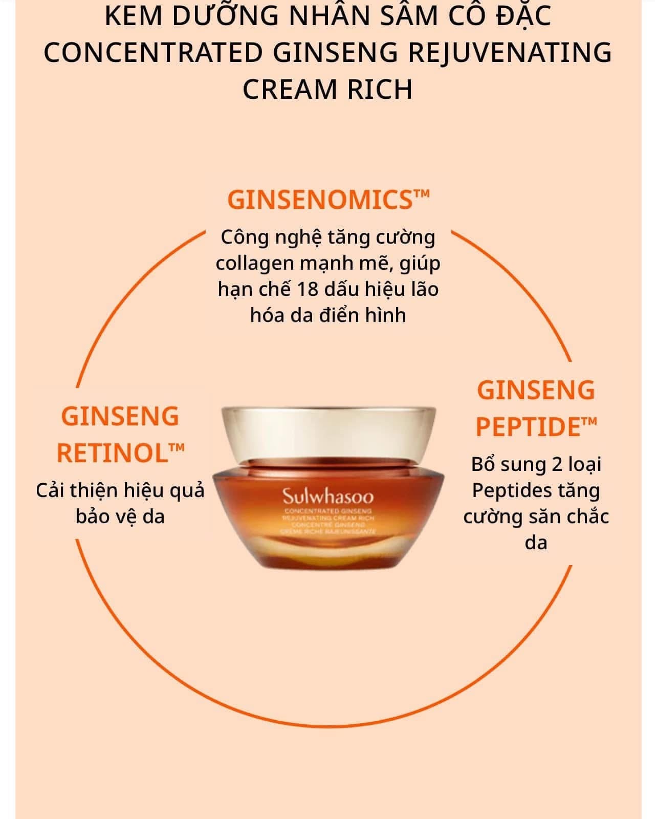 SULWHASOO CONCENTRATED GINSENG RENEWING CREAM EX MINI 10ML
