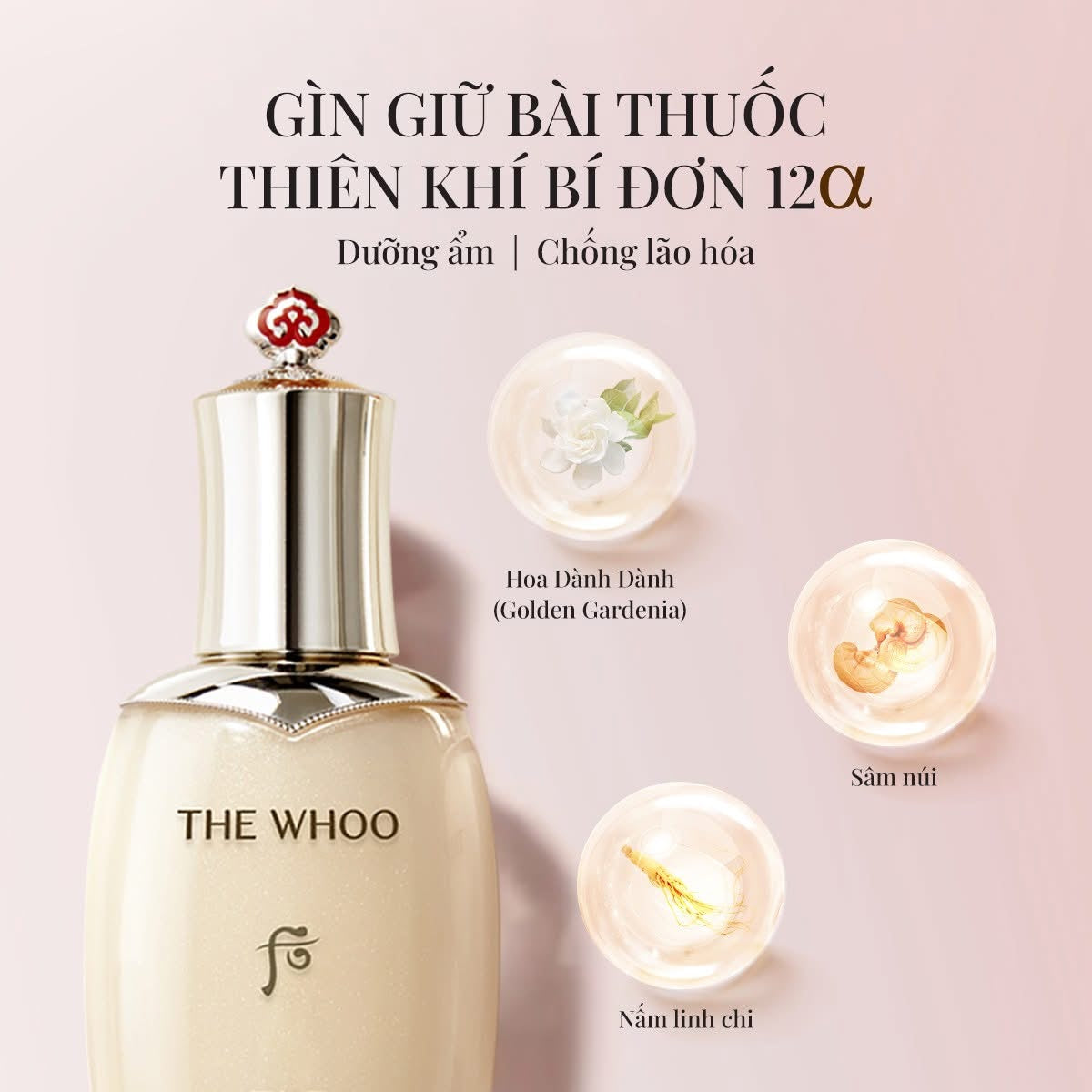 THE WHOO CHEONGIDAN PRO-RADIANCE REJUVENATING SET OF 7 ITEMS