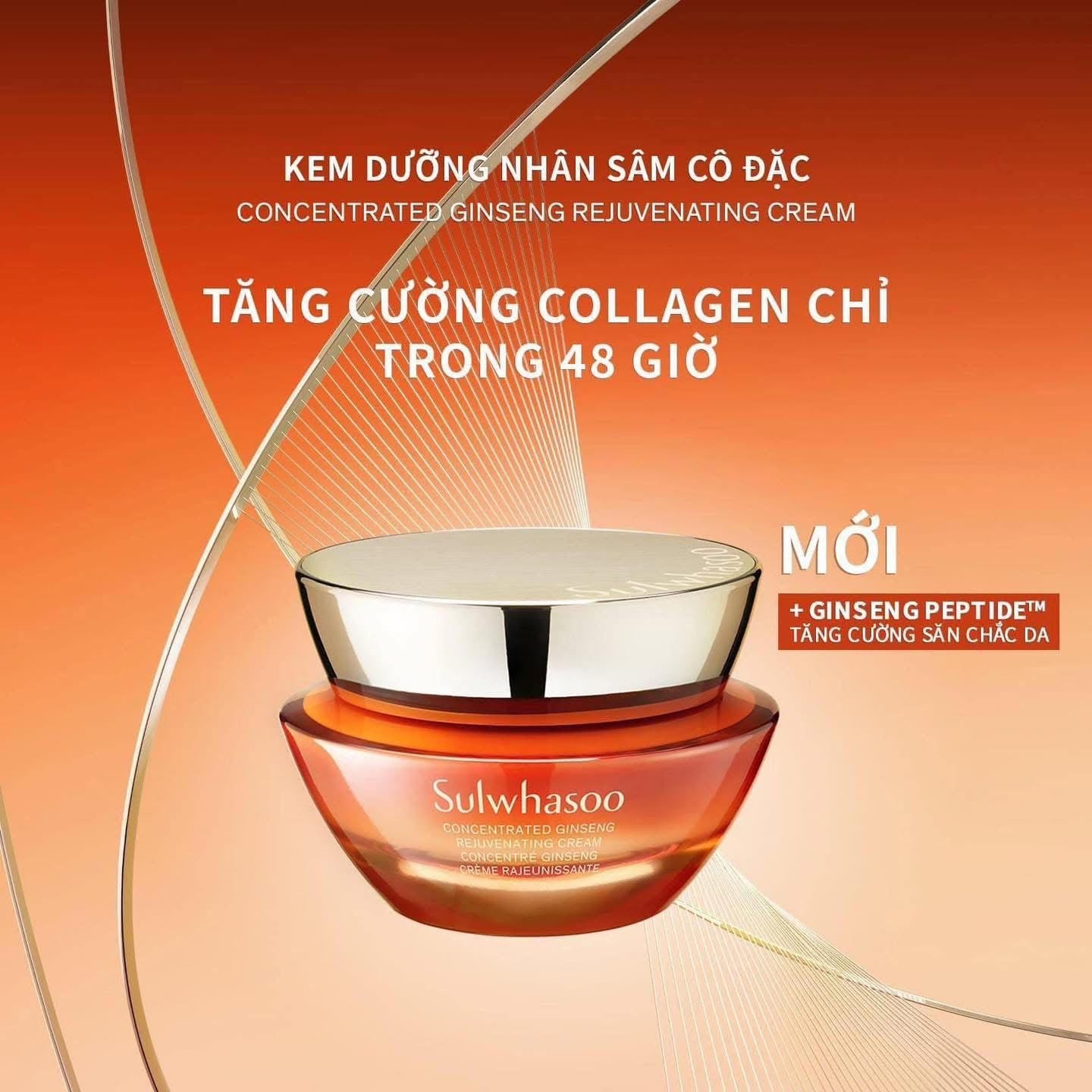SULWHASOO CONCENTRATED GINSENG RENEWING CREAM EX MINI 10ML