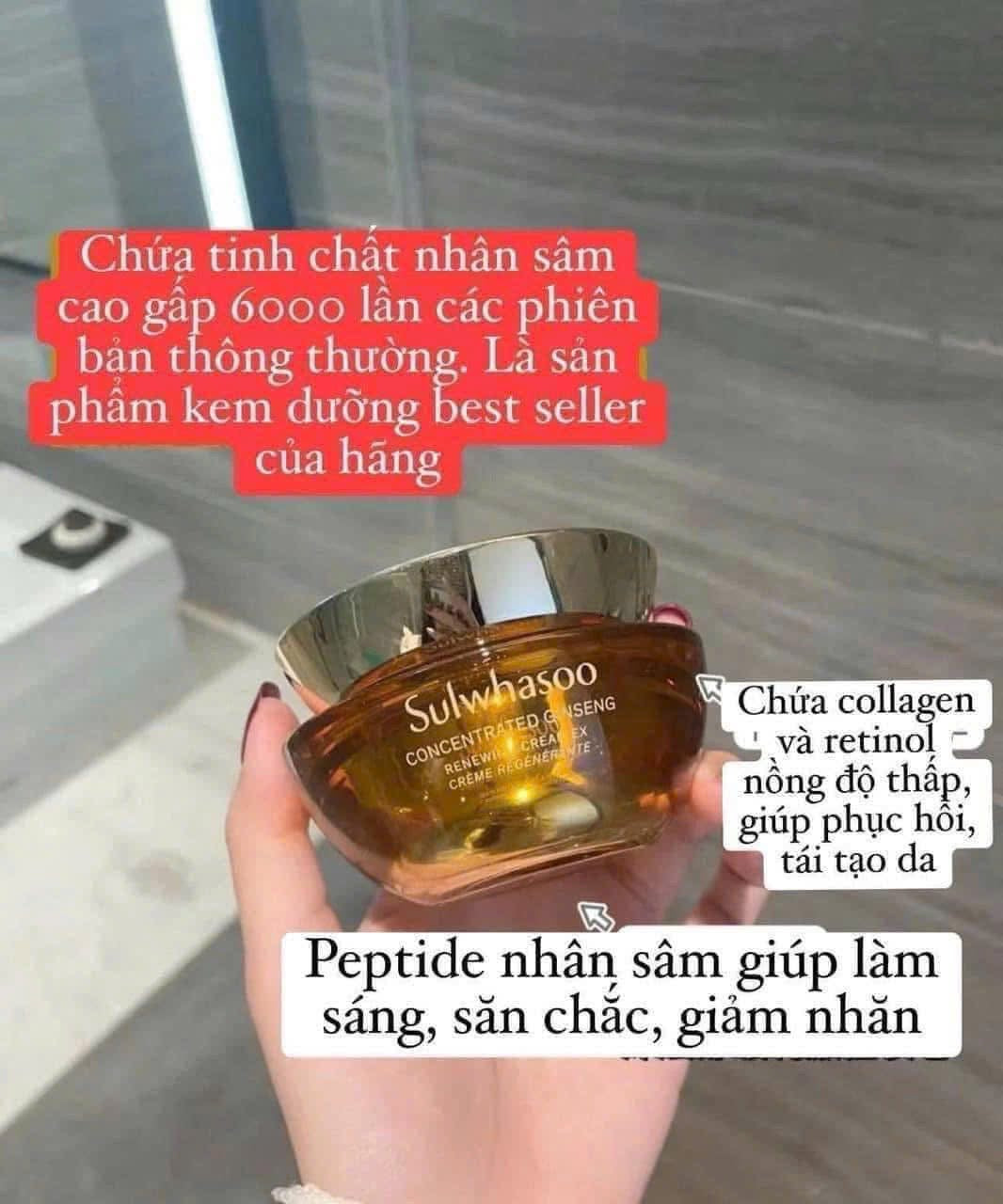 SULWHASOO CONCENTRATED GINSENG RENEWING CREAM EX MINI 10ML