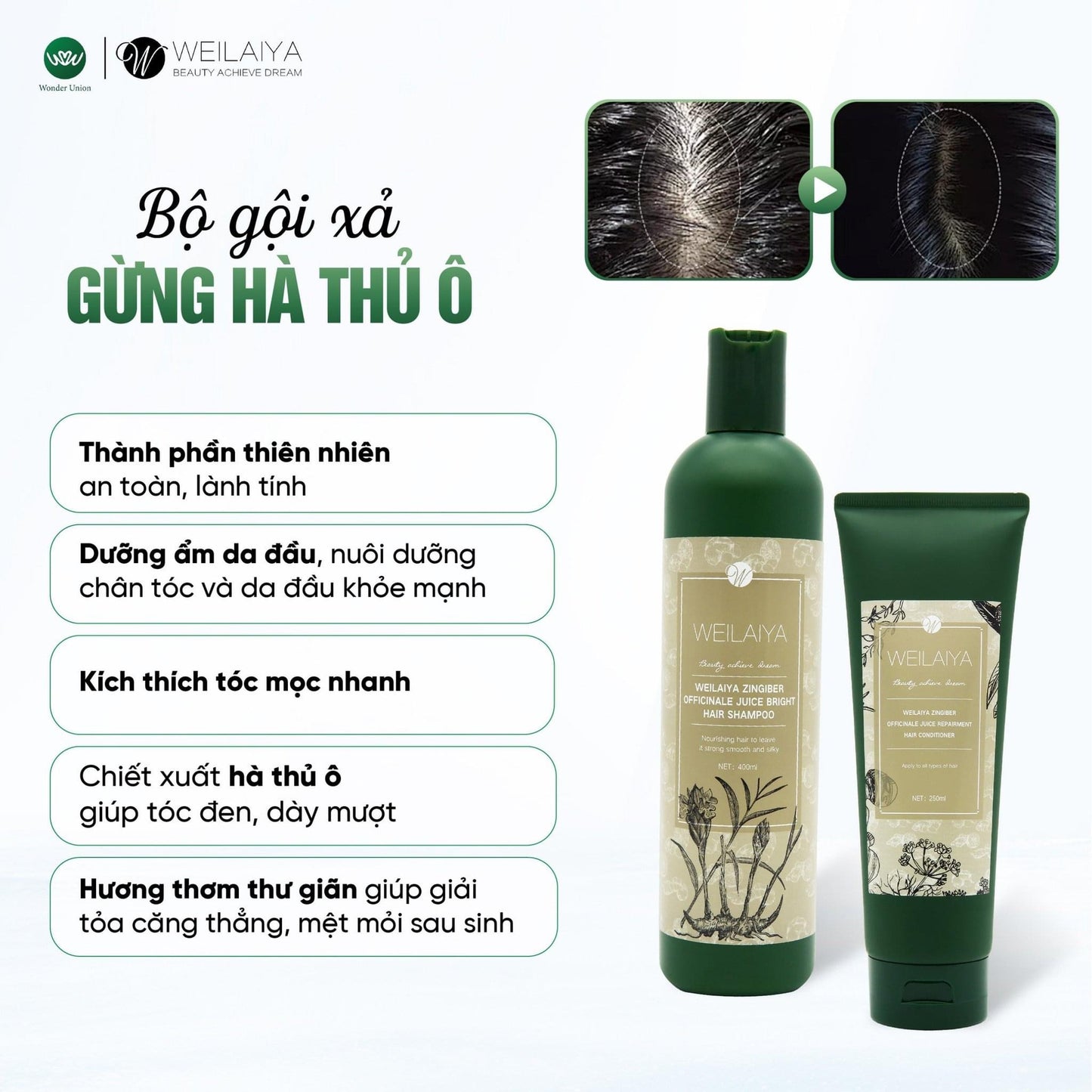 WEILAIYA GINGER SHAMPOO & CONDITIONER SET FOR DRY HAIR 450ML