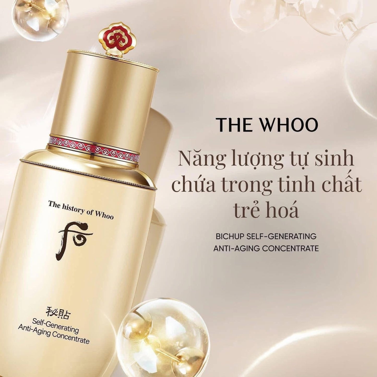 THE HISTORY OF WHOO PREMIUM SKINCARE SET