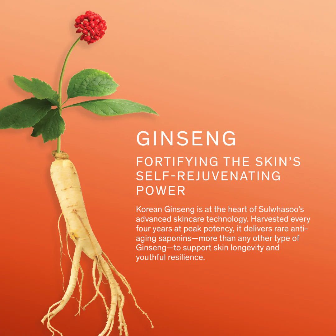 SULWHASOO CONCENTRATED GINSENG RENEWING CREAM EX MINI 10ML