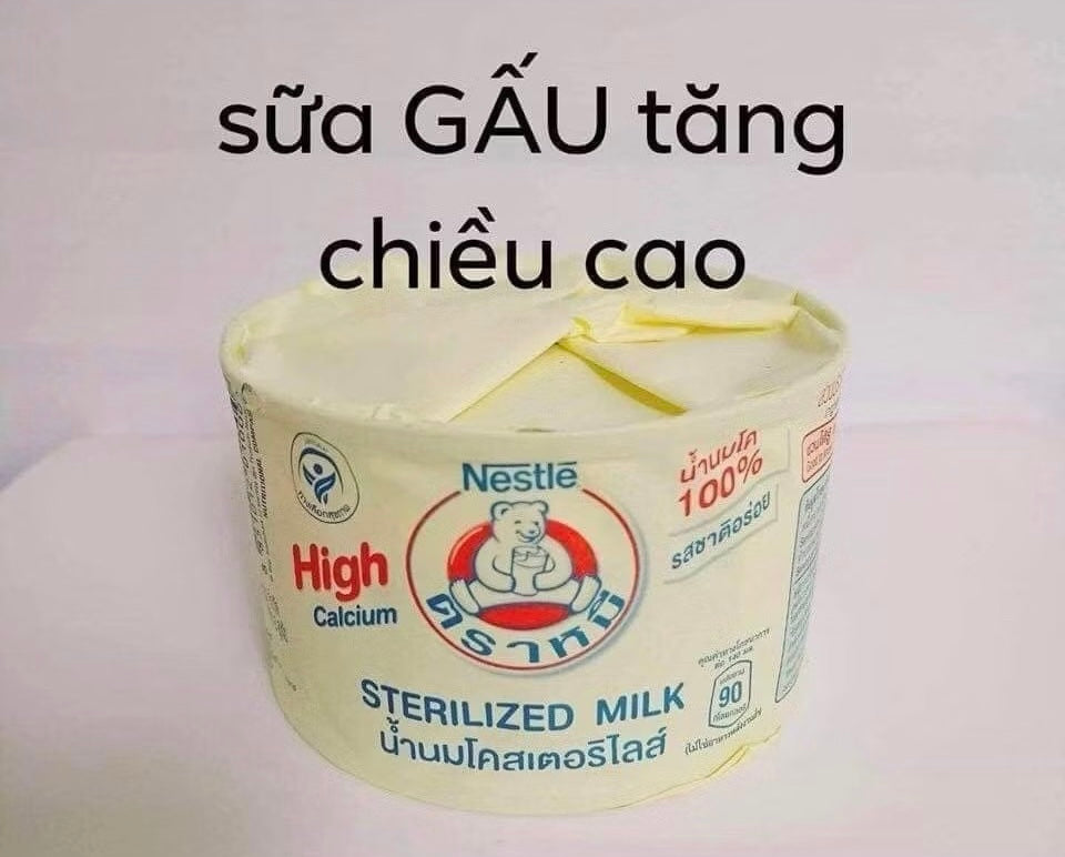 THAILAND NESTLE BEAR MILK 1 PACK OF 140ML x 12 CANS