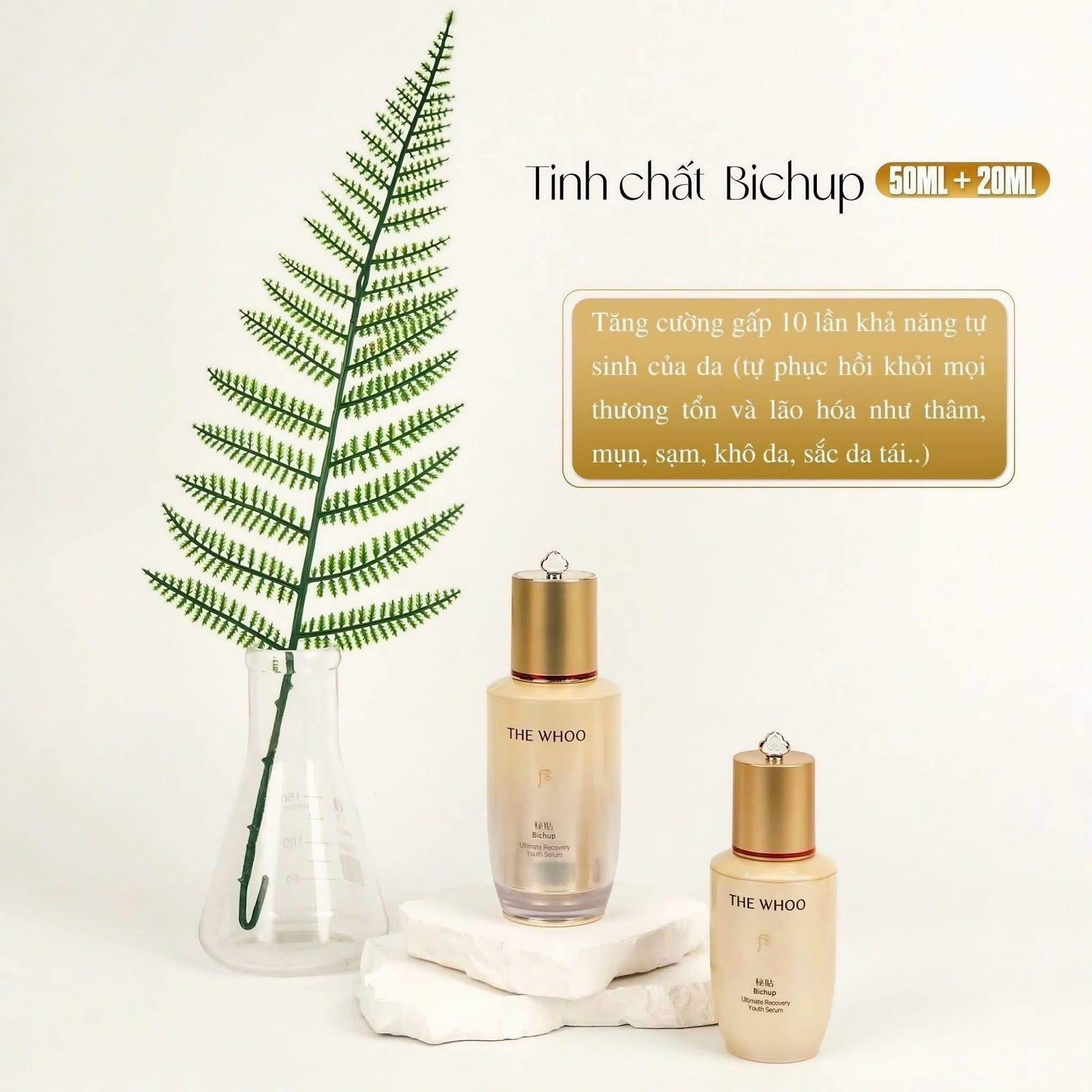 THE HISTORY OF WHOO PREMIUM SKINCARE SET