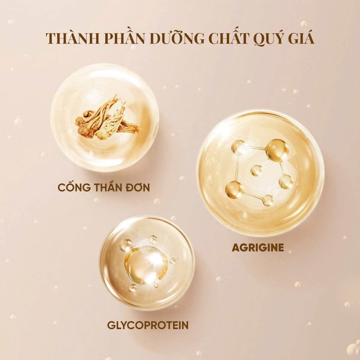 THE WHOO CHEONGIDAN REJUVENATING PRO RADIANCE BALANCING TONER 150ML