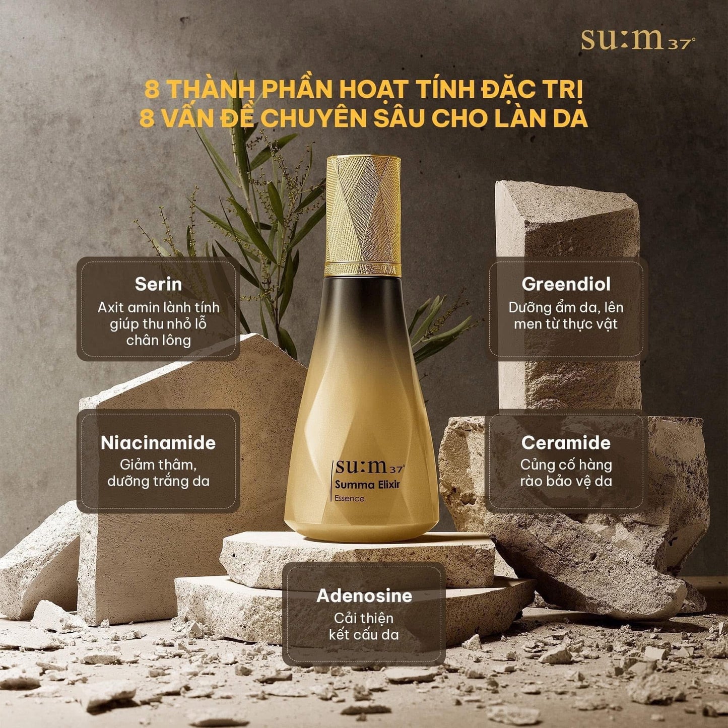 SUM37 LOSEC SUMMA GOLD REPAIR FULL SET OF 14 ITEMS